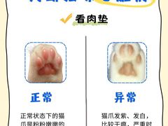 -瑞鹏宠物医院·内科·中兽医·骨科(苗圃店)