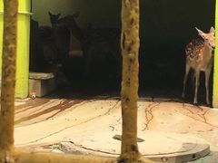 -荆州中山公园动物园