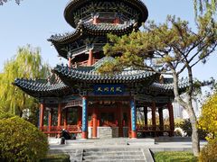 -迎泽公园