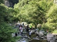 -少华山国家森林公园