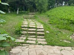 -莫子山公园