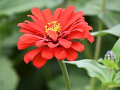 -花开海上生态园