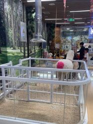 -小象动悟公园(龙湖亦庄天街店)