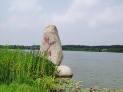 -泗洪洪泽湖湿地景区