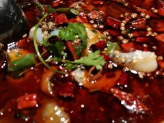 -金牌外婆家(苏州中心店)