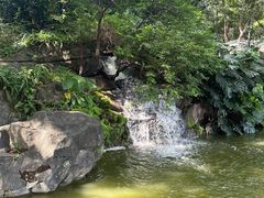 -广州市白云山风景名胜区