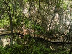 -大岭沟猕猴桃谷风景区