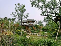 -武清南湖绿博园