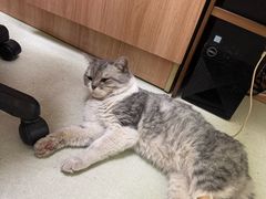 -瑞鹏宠物医院·宠保定点·心脏科·内科(御桥分院)