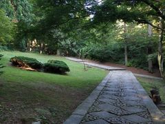 -庐山风景区花径公园