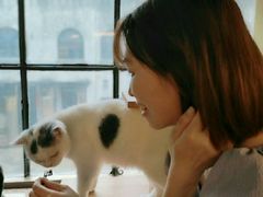 -more than meow吴止猫主题餐厅(承德 中船汇店)