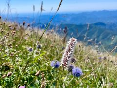 -白草畔自然风景区