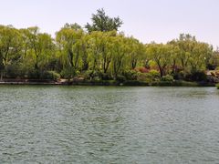 -济南植物园