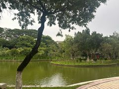 -广东药科大学(广州校区大学城校园)