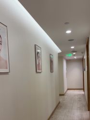 -智美品质医美