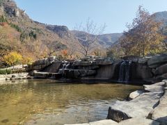 -宗泉烤全羊·烤羊腿·家常菜(解放东路店)