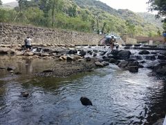 -北仑森林植物园