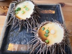 -海胆小馆(东北水饺·春柳店)