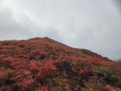 -大围山国家森林公园