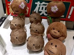 -春润大地海南椰子鸡(沙井京基百纳广场店)