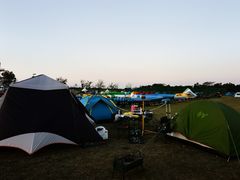 -春花秋色城市公园