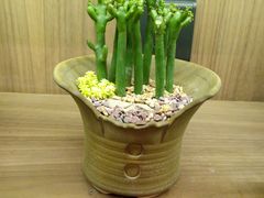 -方所(华润万象城店)