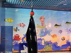 -太平洋海底世界