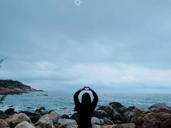 -广东惠东海龟国家级自然保护区