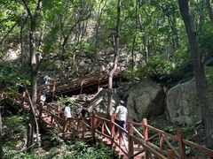 -大岭沟猕猴桃谷风景区