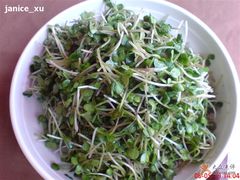 糖醋萝卜苗-粥全粥到