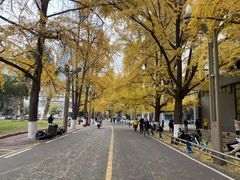 -四川大学(华西校区)