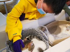 -怪兽屋·羊驼·猫咖·狗咖(俊华广场店)