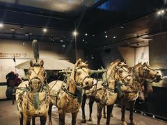 -秦始皇帝陵博物院-丽山园