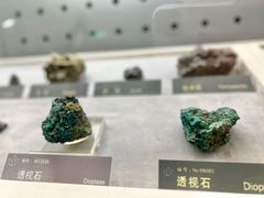 -中国地质博物馆