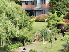 -南通濠河风景名胜区