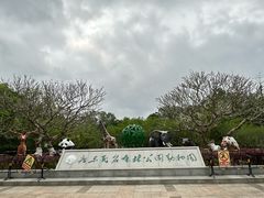 -广东茂名森林公园