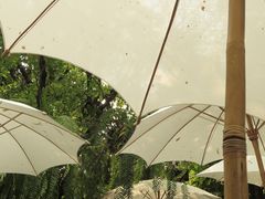 -Fern Forest Cafe