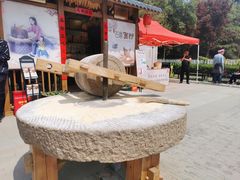 -曹州牡丹园