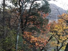 -阳台山自然风景区