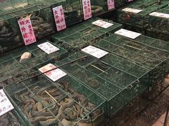 -荔城生鲜盛宴(番禺旗舰店)