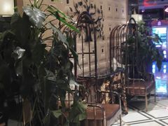 -领航美食音乐餐吧