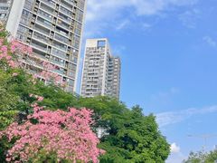 -白石龙音乐公园