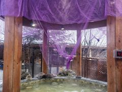 -汉拿山温泉度假酒店