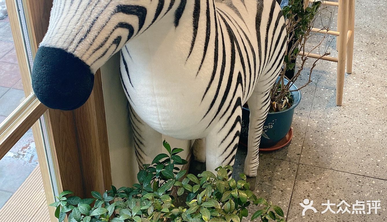 沈阳万象城附近超棒的下午茶