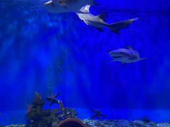 -太平洋海底世界