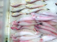 -台州卡金海鲜楼(上南路店)