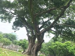 -名古屋城