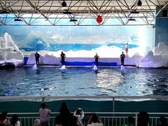 -秦皇岛乐岛海洋王国