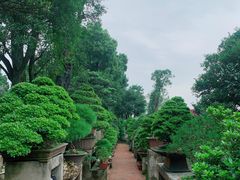 -南山植物园