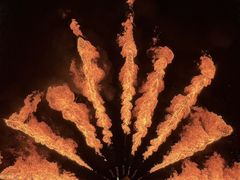 -海合安武汉极地海洋公园